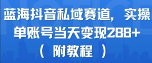 蓝海抖音私域赛道,实操单账号当天变现288+(附教程)|淘骐网赚资源库