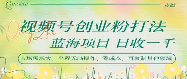 视频号创业粉打法，日入1k，蓝海项目，市场需求大，全程无脑操作，可复制|淘骐网赚资源库