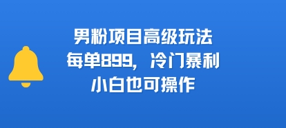 男粉项目高级玩法，每单899，冷门暴利，小白也可操作|淘骐网赚资源库