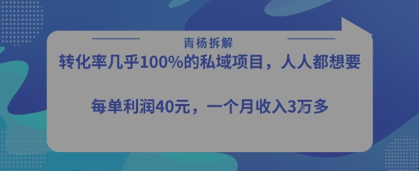 转化率最高的私域项目，每单利润40-50米，月入过1w|淘骐网赚资源库