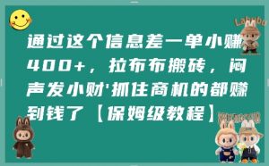 通过这个信息差一单小挣4张+，拉布布搬砖，闷声发小财抓住商机的都挣到钱了【保姆级教程】|淘骐网赚资源库