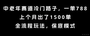 中老年赛道冷门路子,一单788,上个月出了1500单,全流程玩法,保底模式【揭秘】|淘骐网赚资源库