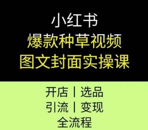 小红书爆款种草视频图文封面实操课,开店、选品、引流、变现全流程|淘骐网赚资源库