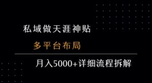 私域做天涯神贴 多平台布局 月入5k+详细流程拆解|淘骐网赚资源库
