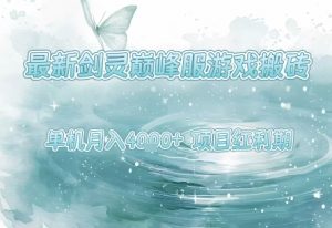 最新剑灵巅峰服游戏搬砖,项目红利期,单机稳定月入4k+操作简单好上手【揭秘】|淘骐网赚资源库