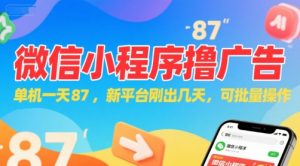 微信小程序看广告，单机一天87，新平台刚出几天，可批量操作，日入5张|淘骐网赚资源库
