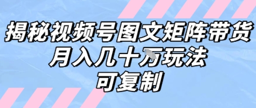 解密视频号图文矩阵带货,月入几个W的打法,可复制|淘骐网赚资源库