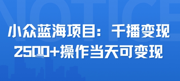 小众蓝海项目,千播变现2.5k+操作当天可变现|淘骐网赚资源库
