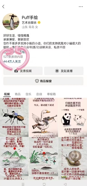 Puff手绘视频号分成项目，三天过分成计划，简单易上手，适合新手|淘骐网赚资源库