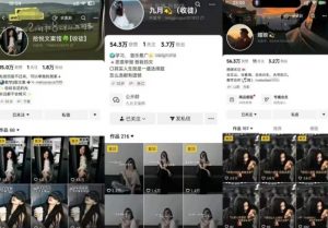 抖音图文文案赛道新玩法，快速养号起号，广告收益分成+橱窗带货+教学收徒等|淘骐网赚资源库