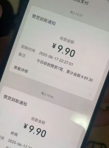 二次元男粉快速变现项目,私域卖虚拟产品,百分利润|淘骐网赚资源库