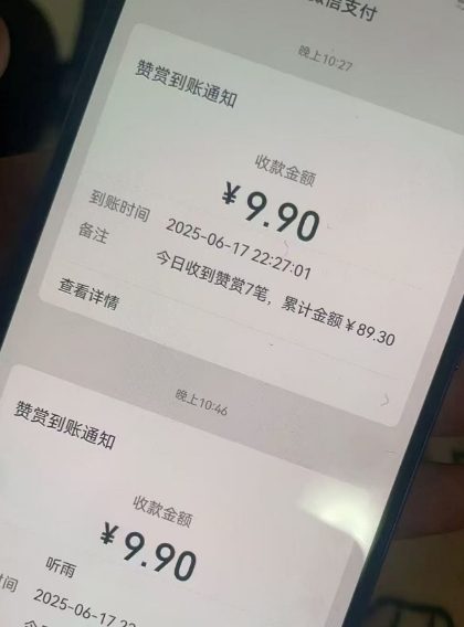 二次元男粉快速变现项目,私域卖虚拟产品,百分利润|淘骐网赚资源库