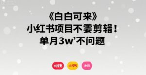 小白可来 小红书项目不需要剪辑 单月3w不是问题|淘骐网赚资源库