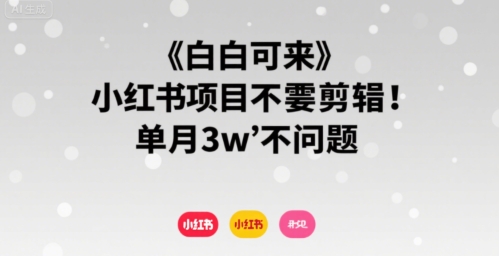 小白可来 小红书项目不需要剪辑 单月3w不是问题|淘骐网赚资源库