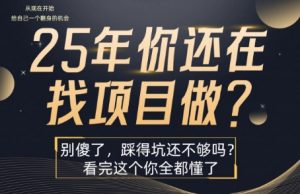 25年，你还在疯狂的找项目吗？别傻了，看完这个你都懂了【揭秘】|淘骐网赚资源库