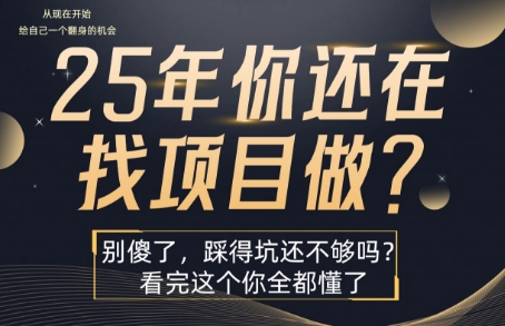 25年，你还在疯狂的找项目吗？别傻了，看完这个你都懂了【揭秘】|淘骐网赚资源库