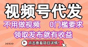 视频号代发,不用剪辑不用做视频,0门槛要求,领取发布就有收益,任务没有无上限,小白轻松上手【揭秘】|淘骐网赚资源库