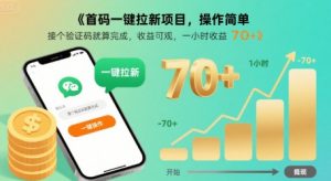 首码一键拉新项目，操作简单，接个验证码就算完成，收益可观， 一小时收益70+【揭秘】|淘骐网赚资源库