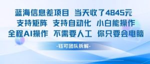 蓝海信息差项目当天收米1k+ 支持矩阵支持自动化小白能操作全程AI操作不需要人工你只要会电脑|淘骐网赚资源库