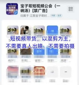 宝子哥头部团队短视频带货,以混剪为主,不需要真人出镜,不需要拍摄【更新8月】|淘骐网赚资源库
