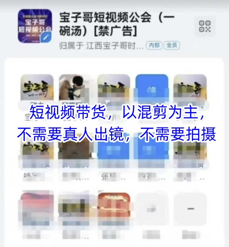 宝子哥头部团队短视频带货,以混剪为主,不需要真人出镜,不需要拍摄【更新8月】|淘骐网赚资源库