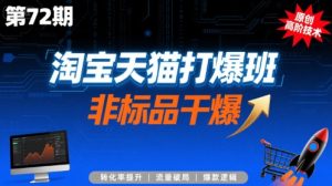 淘宝天猫打爆班原创高阶技术第72期，非标品干爆|淘骐网赚资源库