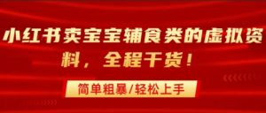 小红书卖宝宝辅食类的虚拟资料，从引流到私域变现，全程干货，简单粗暴，轻松上手|淘骐网赚资源库