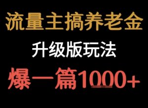 流量主之养老金升级版玩法 爆一篇收益1k+|淘骐网赚资源库