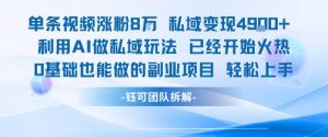 单条视频私域变现4.9k+利用AI做私域玩法 已经开始火热0基础也能做的副业项目轻松上手|淘骐网赚资源库