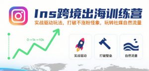 Ins跨境出海训练营,实战驱动玩法,打破不涨粉怪象,玩转社媒自然流量|淘骐网赚资源库