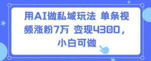 用AI做私域玩法,单条视频涨粉7W变现4.3k,小白可做|淘骐网赚资源库