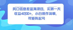 风口信息差蓝海项目，实测一天收益4k+，小白操作简单，可矩阵起号|淘骐网赚资源库