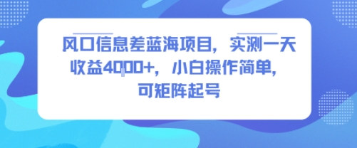 风口信息差蓝海项目,实测一天收益4k+,小白操作简单,可矩阵起号|淘骐网赚资源库