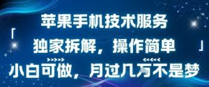 苹果手机技术服务,独家拆解,操作简单,小白可做,月过1W不是梦|淘骐网赚资源库