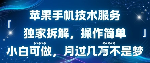 苹果手机技术服务,独家拆解,操作简单,小白可做,月过1W不是梦|淘骐网赚资源库