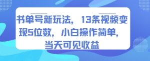 书单号新玩法，13条视频变现5位数，小白操作简单，当天可见收益|淘骐网赚资源库