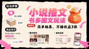 小说推文小红书多图文玩法，简单粗暴，万播收益3张|淘骐网赚资源库