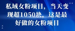 私域女粉项目，当天变现超1k，这是最好做的女粉项目，可放大操作|淘骐网赚资源库