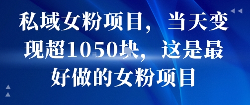 私域女粉项目，当天变现超1k，这是最好做的女粉项目，可放大操作|淘骐网赚资源库