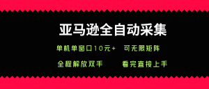 亚马逊全自动采集，单机单窗口一天10+，可无限矩阵去做【揭秘】|淘骐网赚资源库
