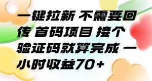 一键拉新 不需要回传 首码项目 接个验证码就算完成 一小时收益70+【揭秘】|淘骐网赚资源库