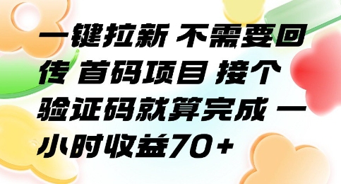 一键拉新 不需要回传 首码项目 接个验证码就算完成 一小时收益70+【揭秘】|淘骐网赚资源库