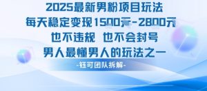 2025最新男粉项目玩法每天变现1k+也不违规也不会封号男人最懂男人的玩法|淘骐网赚资源库