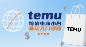 temu跨境电商小白基础入门课程,新手必看|淘骐网赚资源库