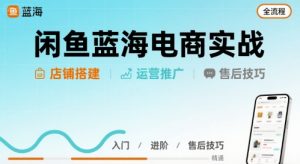 闲鱼蓝海电商实战,店铺搭建运营售后全流程|淘骐网赚资源库