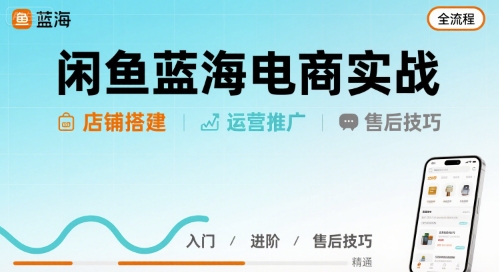 闲鱼蓝海电商实战,店铺搭建运营售后全流程|淘骐网赚资源库