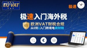 极速入门海外税,欧洲VAT财税合规,从0到1入门跨境电商财税|淘骐网赚资源库