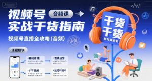 视频号实战干货指南,视频号直播全攻略(音频)|淘骐网赚资源库