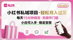 小红书私域项目 月入过W非常轻松 每天15分钟即可搞定,无任何操作门槛,小白可入手|淘骐网赚资源库