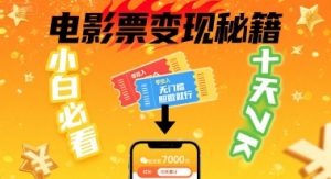 小白必看！卖电影票项目，零投入无门槛谁都能做，十天到手 7k，照做就行【揭秘】|淘骐网赚资源库